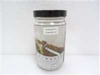 橫紋九刺鮨藏品圖，第2張